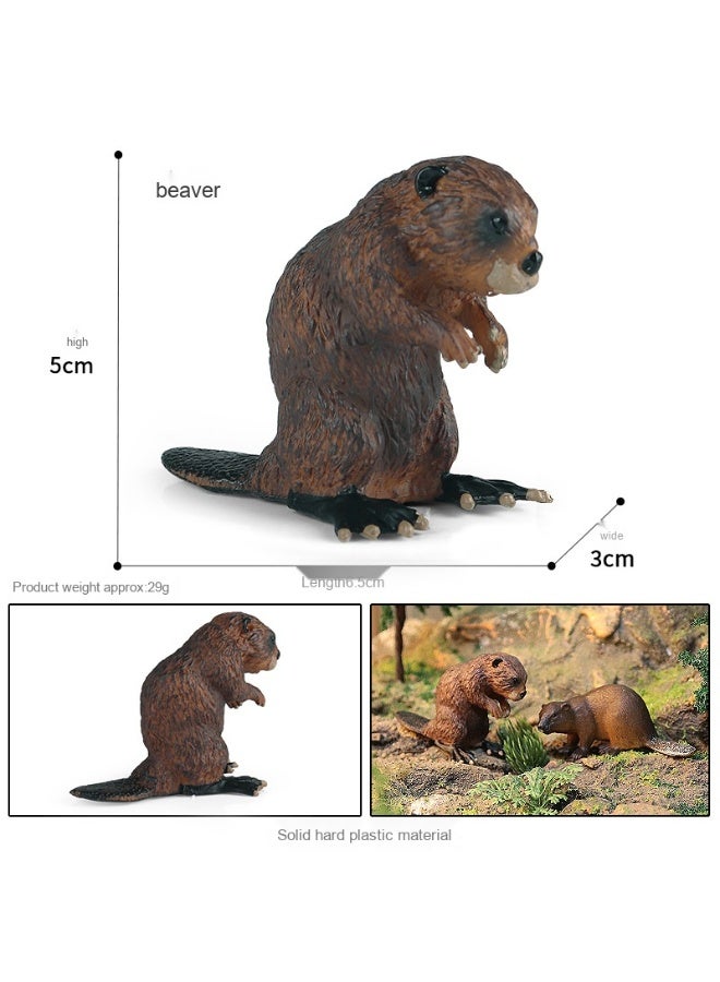 NIBEMINENT Children's Cognitive Early Education Toy - Realistic Beaver Model