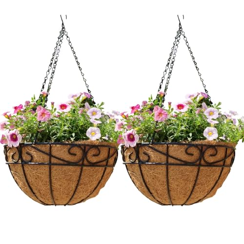 EIMQUVW Outdoor Metal Hanging Planters Basket (2pack, 12 inch) Hanging Baskets for Plants Chain Round Wire Plant Holder with Coco Fiber Liners for Garden, Patio, Deck, Porch(Flower Border) - Image 1