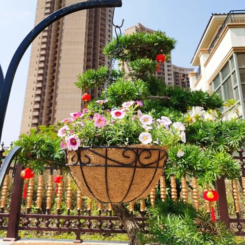 EIMQUVW Outdoor Metal Hanging Planters Basket (2pack, 12 inch) Hanging Baskets for Plants Chain Round Wire Plant Holder with Coco Fiber Liners for Garden, Patio, Deck, Porch(Flower Border) - Image 2