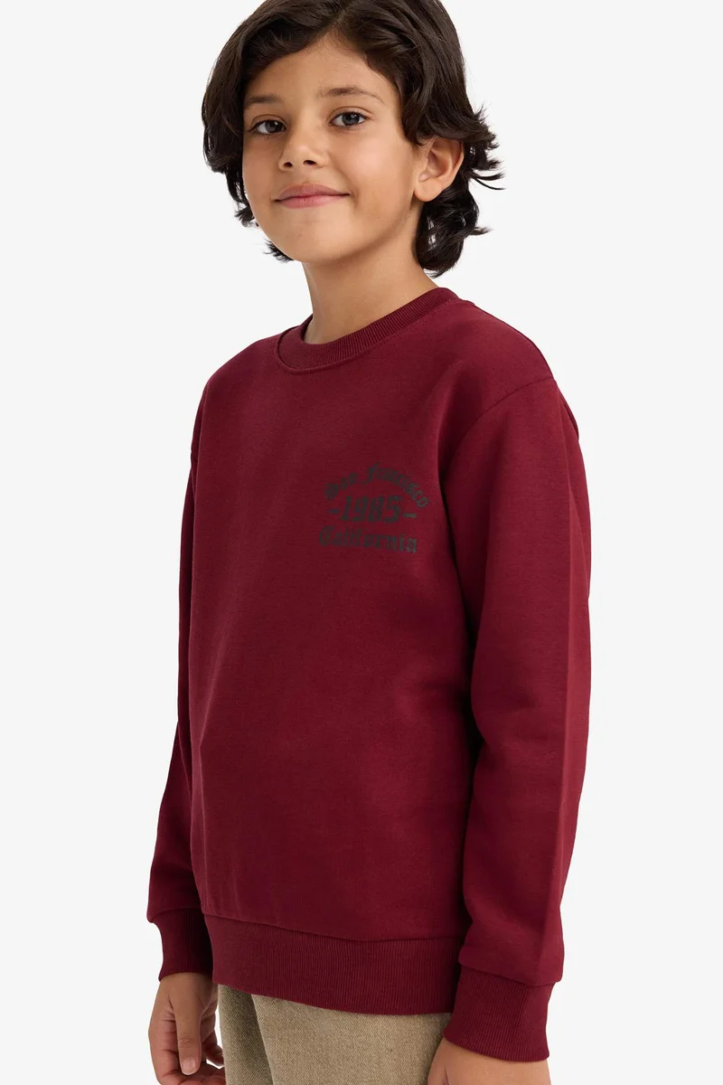 ديفاكتو Boy Regular Fit Basic Crew Neck Sweatshirt