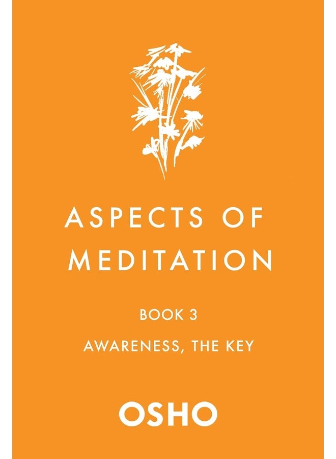 Aspects of Meditation Book 3: Awareness, the Key