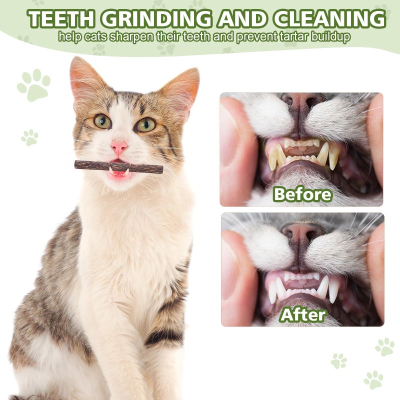 WOUSEDO 6 Pack Silvervine Sticks Cat Toy, Natural Chew Stick for Dental Care Teeth Cleaning,Matatabi Cat nip Treat Toys for Indoor Cats& Kittens - Image 5
