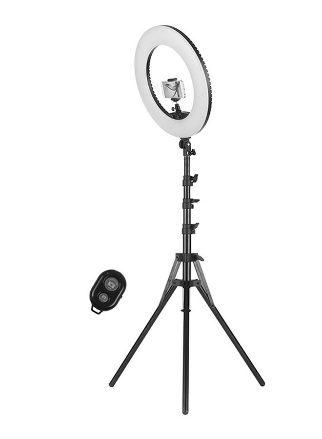 Loquat LED Ring Light Kit Black/White