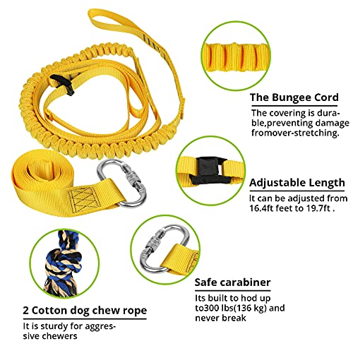 HOKINETY Dog Hanging Bungee Tug Toy: Interactive Tether Tug-of-War for Pitbull Small to Large Dogs to Exercise and Fun Solo Play - Durable Retractable Tugger Dog Rope Toy with 2 Chew Rope Toys - Image 3