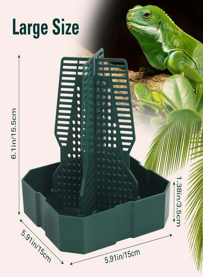 APlayfulBee Chameleon Feeding Bearded Dragon Bug Bowl Reptile Feeder Box with Column for Insects to Climb for Feeding Chameleon Gecko Lizard Frog (M) - Image 2