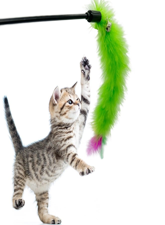 CATENEED Cat Wand Feather Toys, 6 Pieces Interactive Cat Feathers Teaser Toy for Indoor Cats Play - Image 2