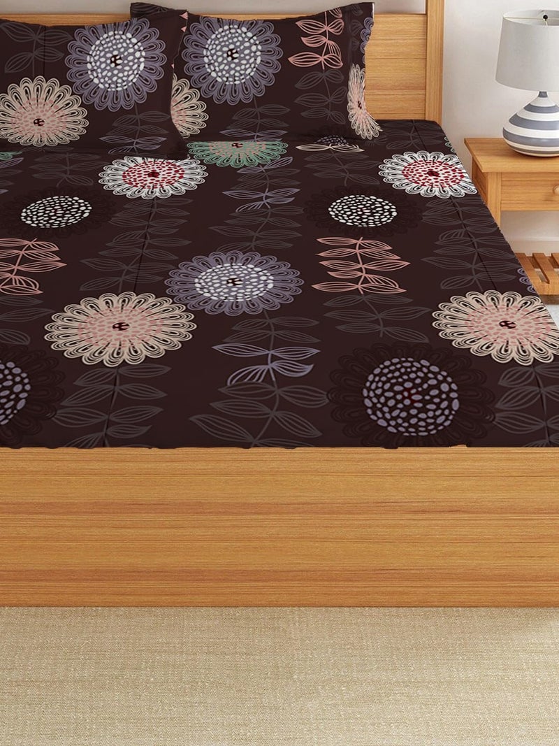 LOOMLYFE 300 TC Cotton Feel Glace Cotton Elastic Fitted Printed King Size Double Bed Bedsheet with 2 Pillow Covers Fits Upto 8 inches Mattress, Size- 72X78 Inches, Circle Brown - Image 3
