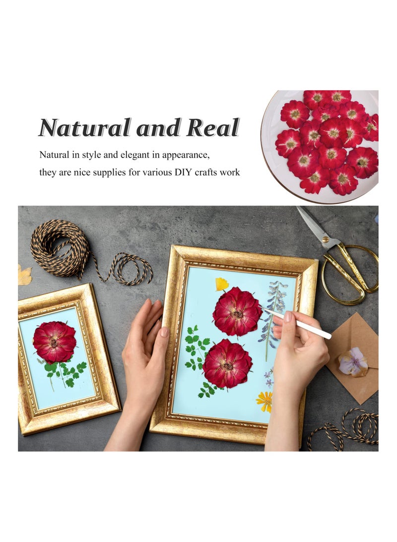 Excefore Dried Pressed Rose Flowers for Resin, 60 Pcs Natural Real Pressed Rose Flowers, Dry Flowers for Resin Crafts DIY Jewellery Ornament Candle Making Phone Case Home Decoration - Image 3
