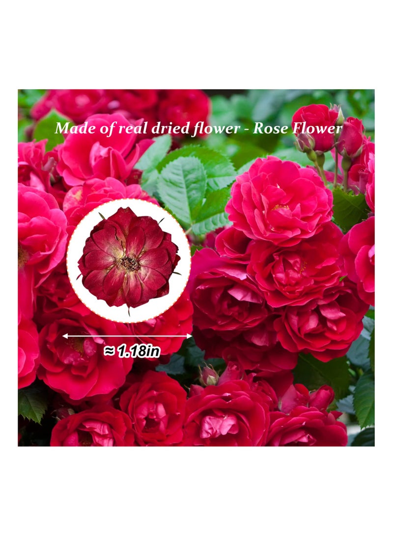 Excefore Dried Pressed Rose Flowers for Resin, 60 Pcs Natural Real Pressed Rose Flowers, Dry Flowers for Resin Crafts DIY Jewellery Ornament Candle Making Phone Case Home Decoration - Image 2