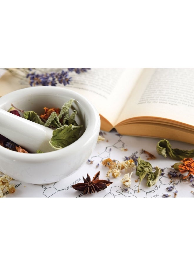 Hic Kitchen Dishwasher and Microwave Safe Porcelain Mortar and Pestle with Pour Spout White 2.375 x 4.625 x 4.25 Inch NT1051 - Image 2