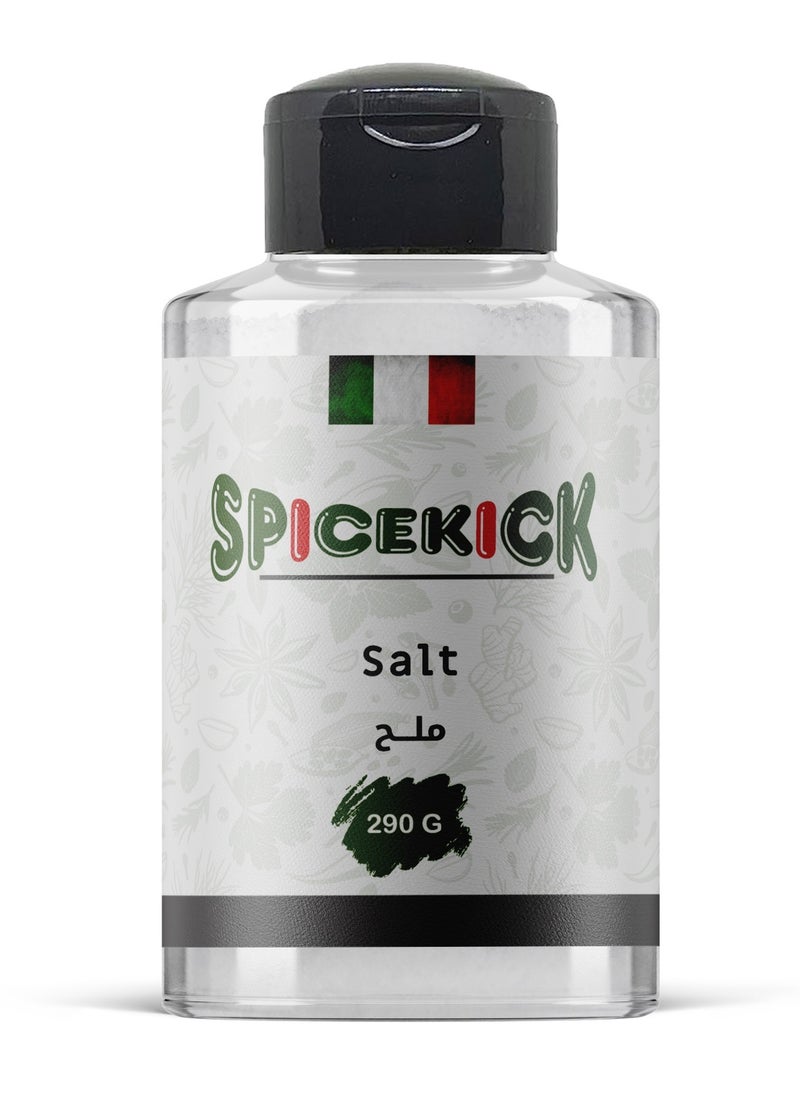 Spicekick Fine table salt 290 grams (SPICEKICK)  - Image 1