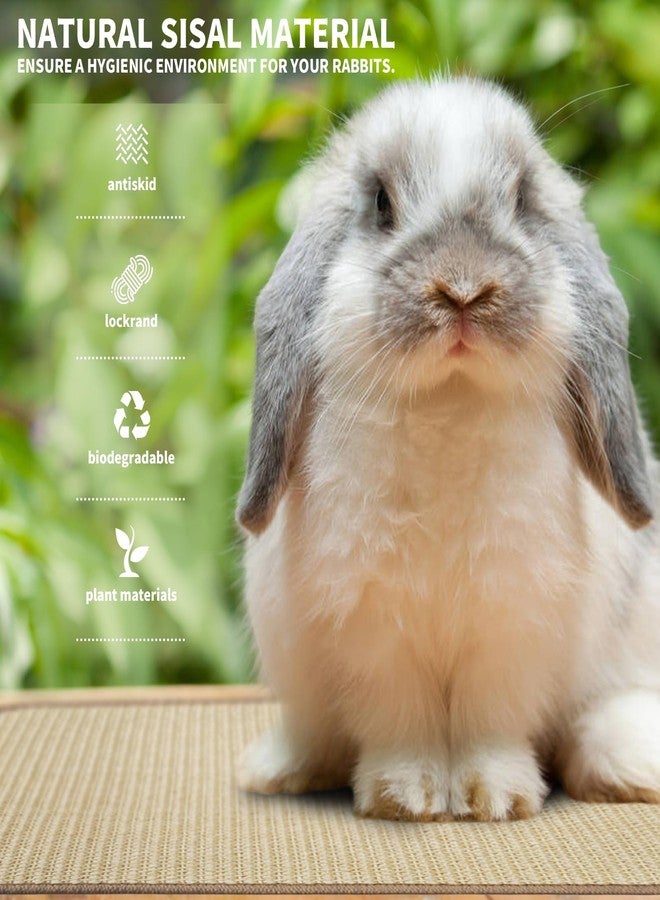 YOIYINI 2Pcs Rabbit Scratch Mat,16 x 12 Inch Sisal Rabbit Scratching Pad,Rabbits Scratching Mats for Cages,Claws and Teeth Care Rabbits Chew Toys,Small Pet Bedding for Biting Sleeping Nesting - Image 3