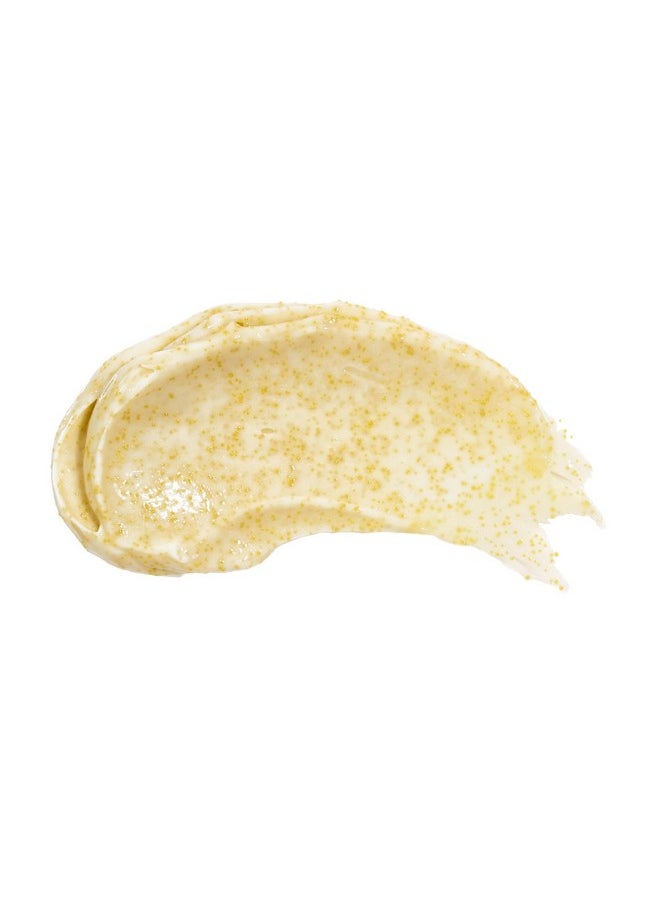 Beekman 1802 Beekman 1802 Oat + Goat Milk Exfoliating Face Scrub - Gentle Cleansing With Jojoba Bead Facial Exfoliator - Travel Friendly Sensitive Skin Face Cleanser - Fragrance Free  - Image 2