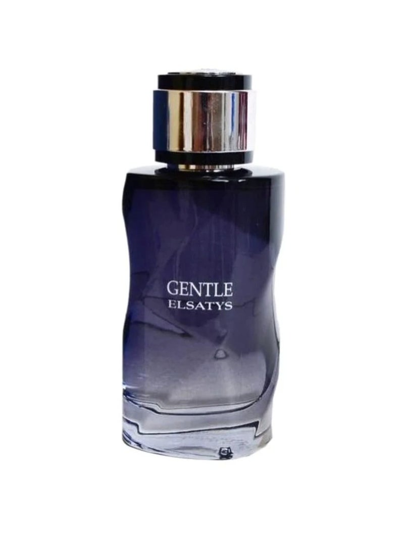 Reyane Tradition Gentle Elsatys EDP 100ml - Image 2