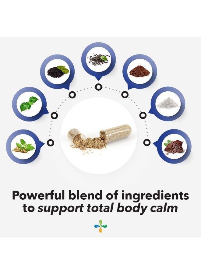 Life Seasons Anxie-T Stress Support - Image 4