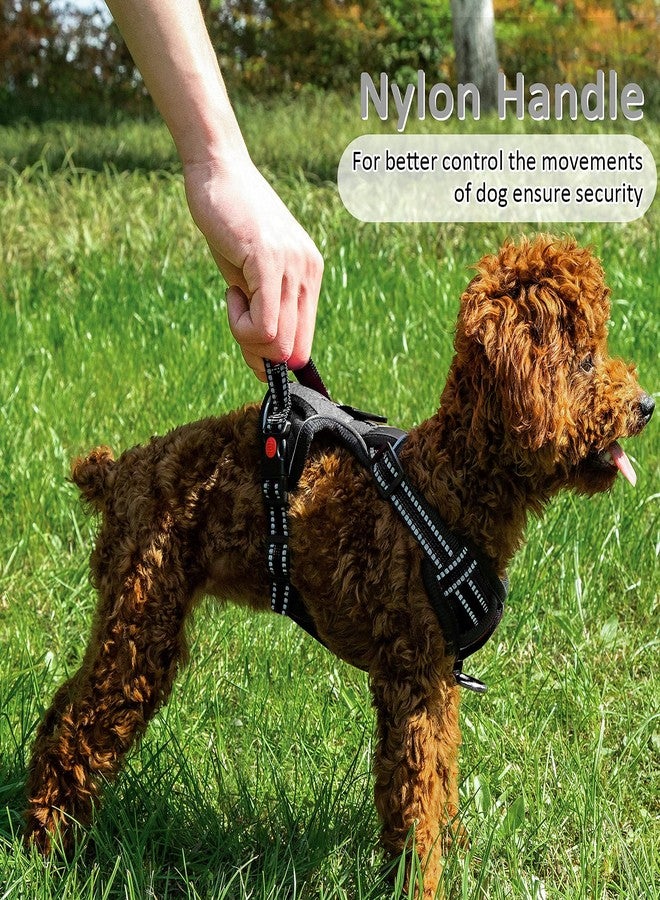 Pantula Dog Harness and Leash Set No Pull, Adjustable Padded Pet Reflective Vest Harnesses with Easy Control Soft Handle, Suitable Outdoor Training Walking for Small Medium Large Dogs (Black, S) - Image 4