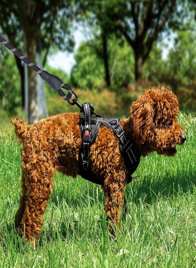 Pantula Dog Harness and Leash Set No Pull, Adjustable Padded Pet Reflective Vest Harnesses with Easy Control Soft Handle, Suitable Outdoor Training Walking for Small Medium Large Dogs (Black, S) - Image 2