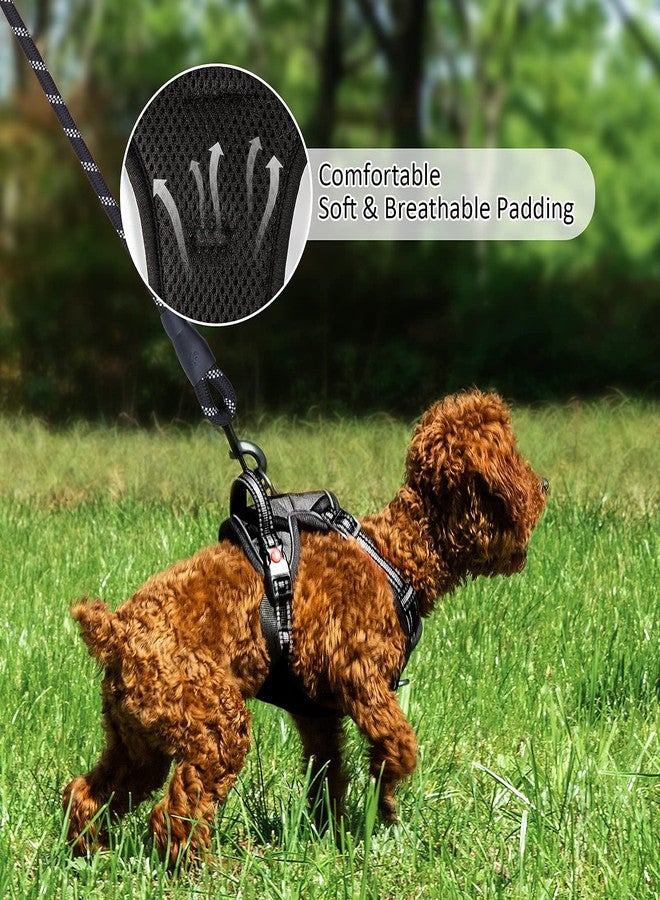 Pantula Dog Harness and Leash Set No Pull, Adjustable Padded Pet Reflective Vest Harnesses with Easy Control Soft Handle, Suitable Outdoor Training Walking for Small Medium Large Dogs (Black, S) - Image 3
