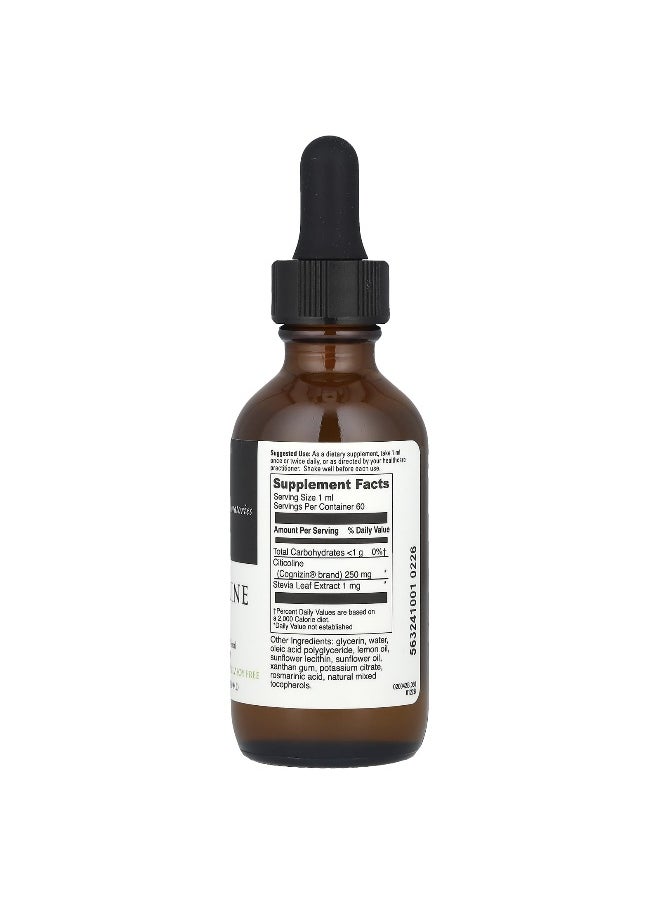 DaVinci Laboratories DaVinci Laboratories, Liposomal Citicoline with Cognizin®, 2 fl oz (60 ml)  - Image 2