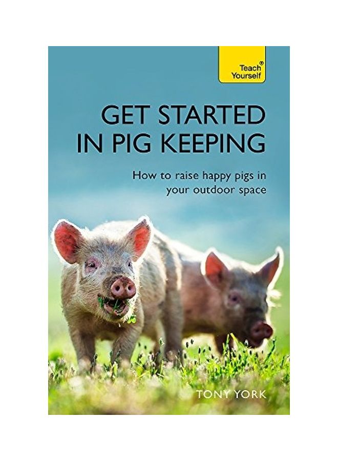 Get Started In Pig Keeping  How to raise happy pigs in your outdoor space
