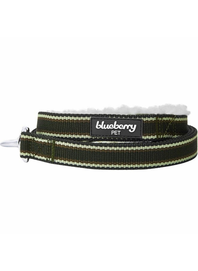 Blueberry Pet Multi-Colored Stripe Fleece Padded Dog Leash with Soft & Comfortable Handle, 5 ft x 5/8", Olive Green, Small, Leashes for Dogs - pzsku/Z336F99DA0F64C8980475Z/45/_/1737031600/836a8332-b8af-4952-83e6-034eefe64478