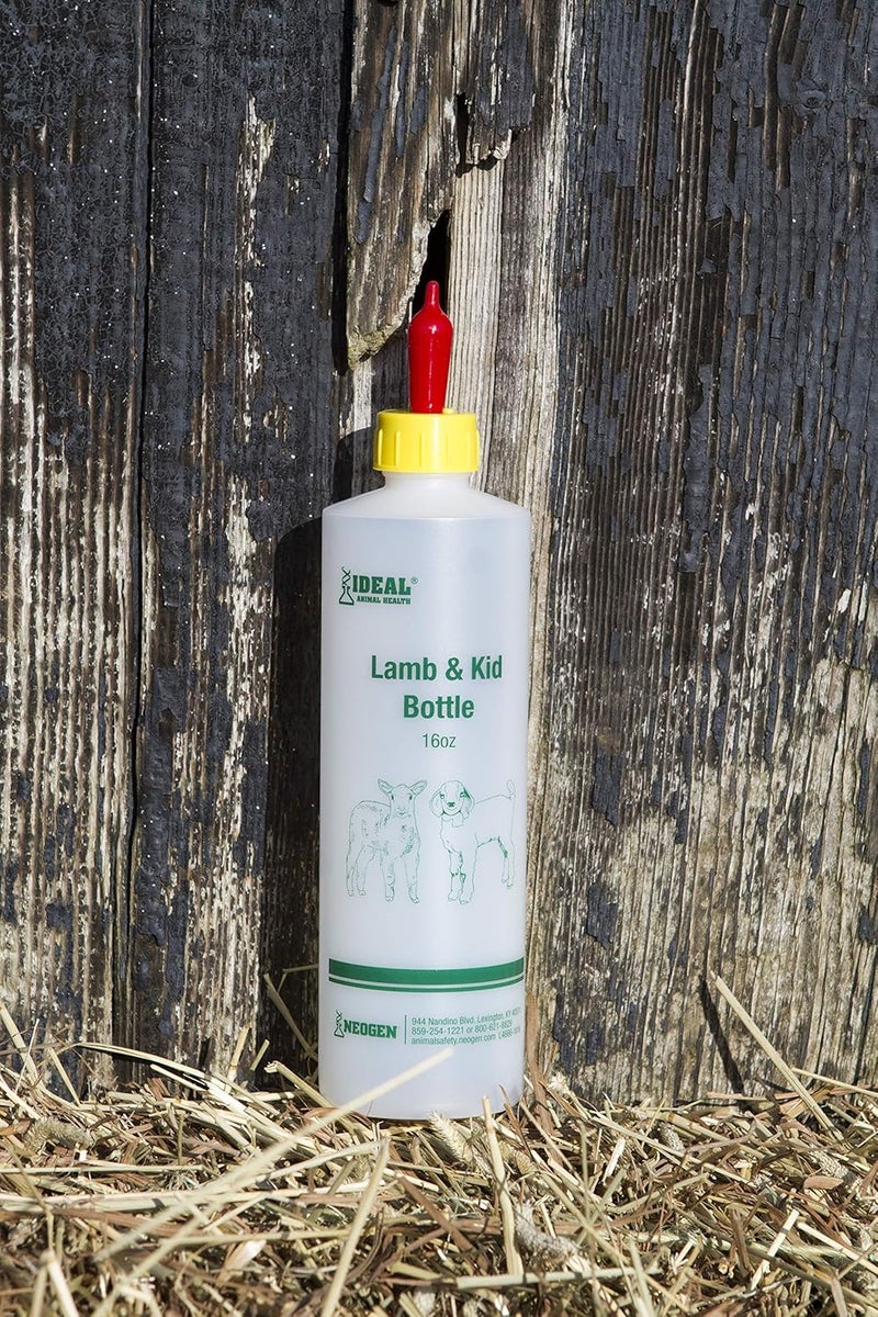 Neogen Lamb & Kid Bottle 16oz w/ Red Screw-On Teat - Image 2