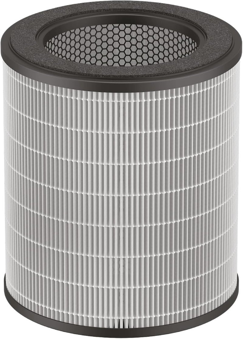 ROWENTA Pure Air City purifier filter