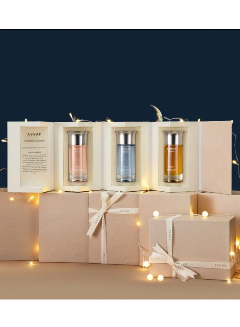 ASSAF Pegasus Set with Arokee Dangerous 200ml - Image 2