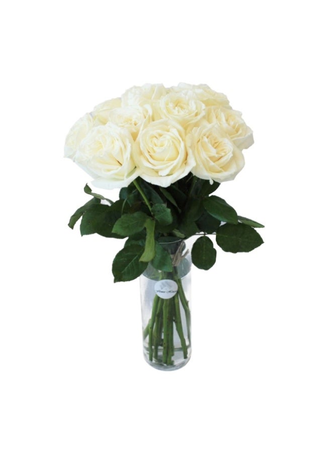 White Rose, 10 stems - 50cm, Colombia