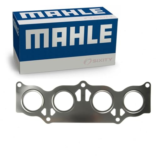 جوانات MAHLE الأصلية MS19248
