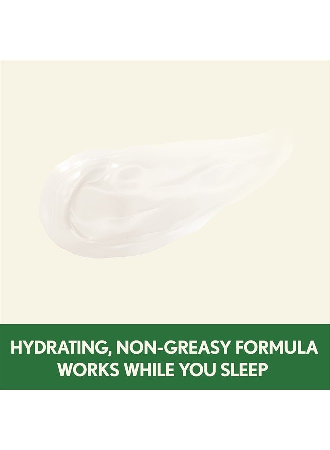 Aveeno Positively Radiant Intensive Moisturizing Night Cream with Total Soy Complex & Vitamin B3, Oil-Free, Non-Greasy, Hypoallergenic & Non-Comedogenic, 1.7 oz - Image 5