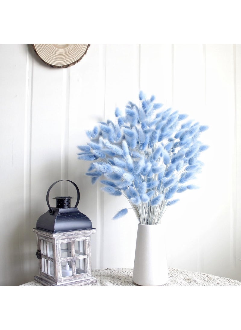 100 Pcs Blue Dried Pampas Grass Decor, 17-inch Bunny Tails Dry Flowers for Home & Wedding - Image 3