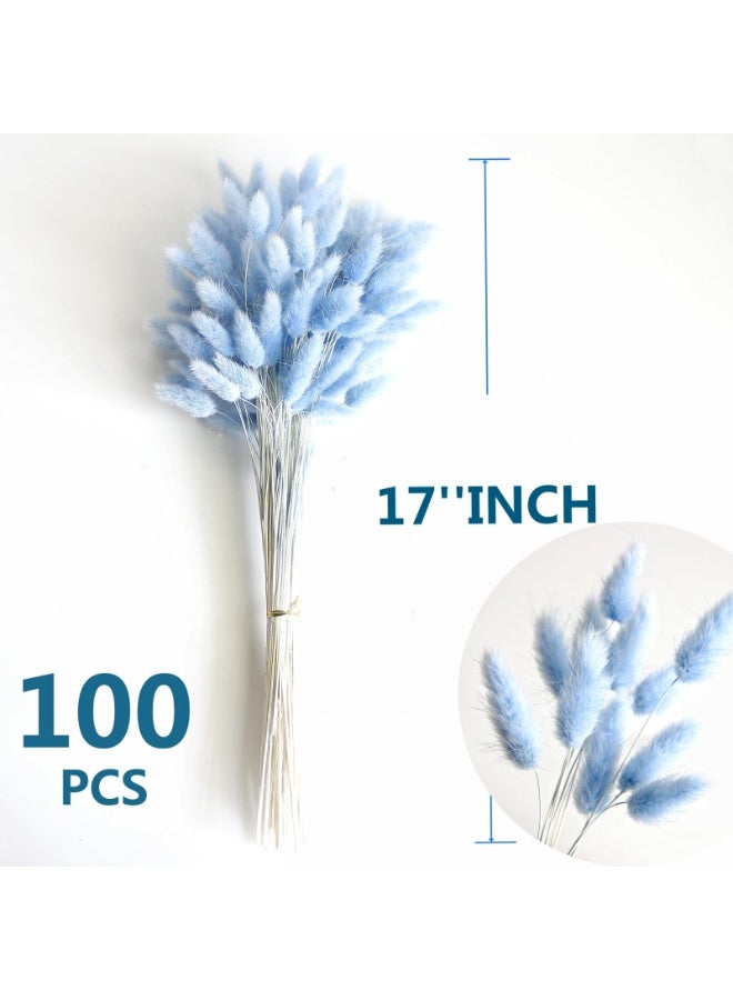 100 Pcs Blue Dried Pampas Grass Decor, 17-inch Bunny Tails Dry Flowers for Home & Wedding - Image 2