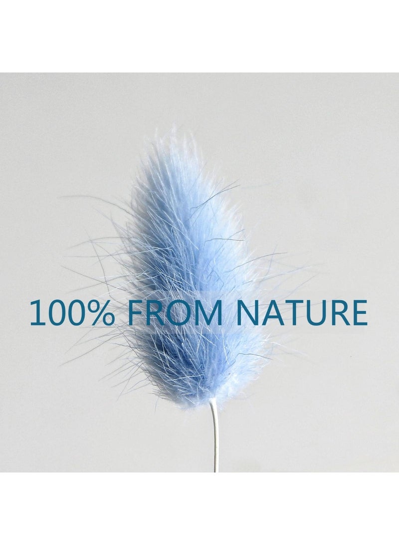 100 Pcs Blue Dried Pampas Grass Decor, 17-inch Bunny Tails Dry Flowers for Home & Wedding - Image 4