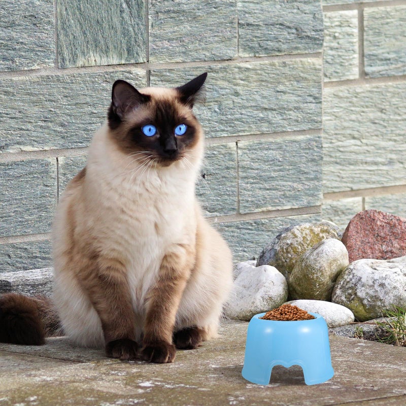 Blue Plastic Pet Feeder Bowl for Dogs Cats Rabbits Small Animals - Image 5