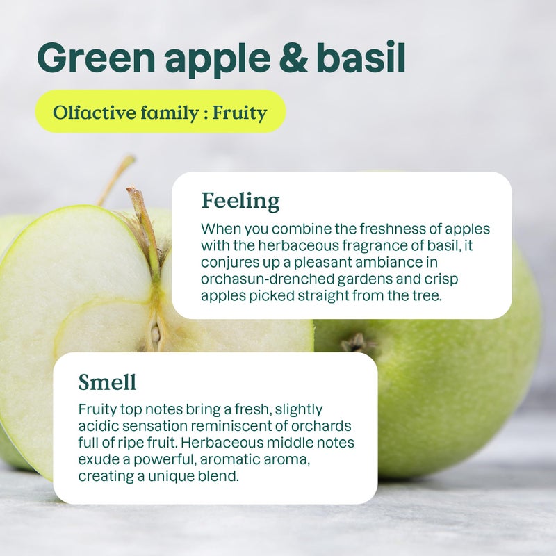 ATTITUDE Dish Soap Refill, EWG Verified, Plant-Based & Vegan Dishwashing Liquid, Naturally Derived, Green Apple & Basil Scent, 67.6 Fl Oz - Image 3
