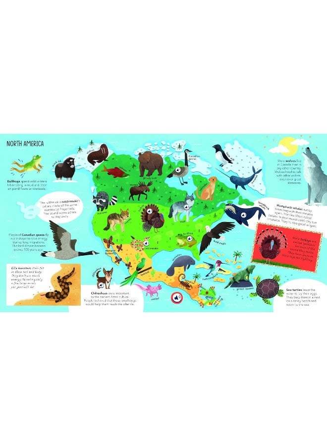 أطلس الصوت العالمي الأول لي: أطلس الصوت الأول لي - Image 2