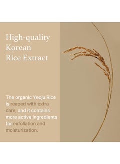 I'M FROM I'm from Rice Mask 3.88 Oz, Gentle Exfoliating Wash Off Facial Mask for Dull, Rough Skin, Pore Clearing, Remove Dead Skin Cells, Uneven Skin Tone, Smooth Skin, Moiustirinzg, Radiant  - Image 5