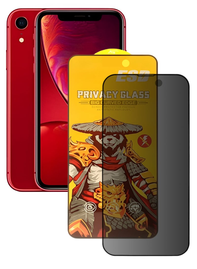 ESD Tempered Dustproof Privacy Glass Screen Protector Compatible For iPhone XR - Image 1