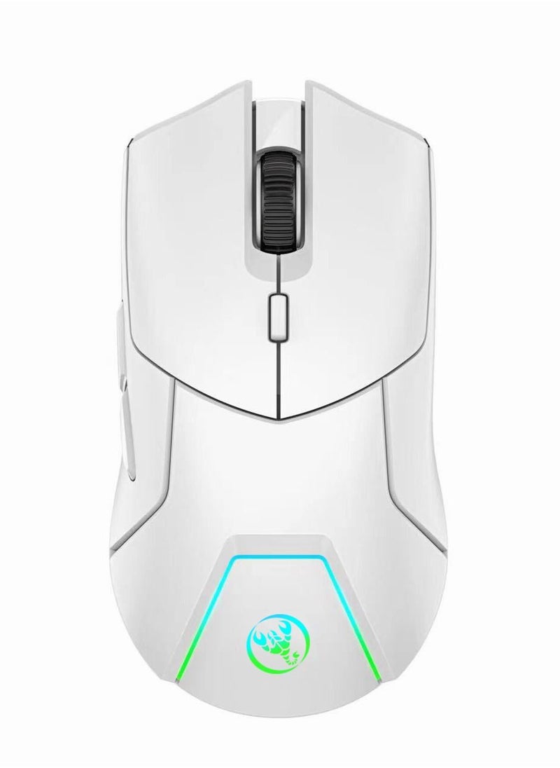 HXSJ T40 RGB Lighting Programmable Gaming Wireless Mouse  - Image 1