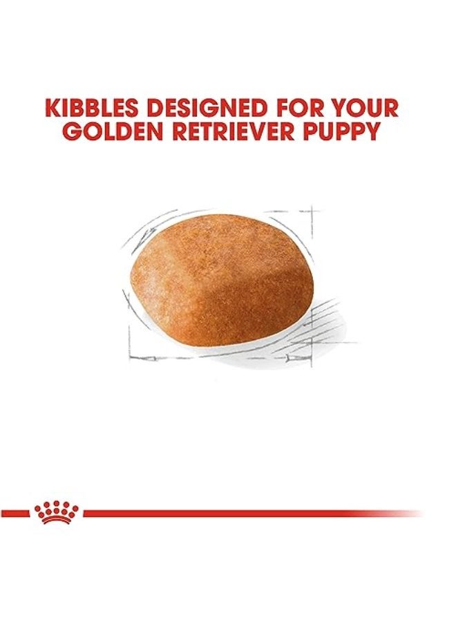 Royal Canin Breed Health Nutrition Golden Retriever Puppy Dry Dog Food, 30 Lb - Image 4