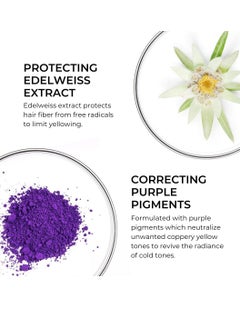 Phyto Phyto Purple Repairing Hair Mask for Blonde Highlighted Hair - Neutralizes Yellow Tones, Reduce Brassiness & Condition Dry, Damaged Hair|200ml  - Image 3