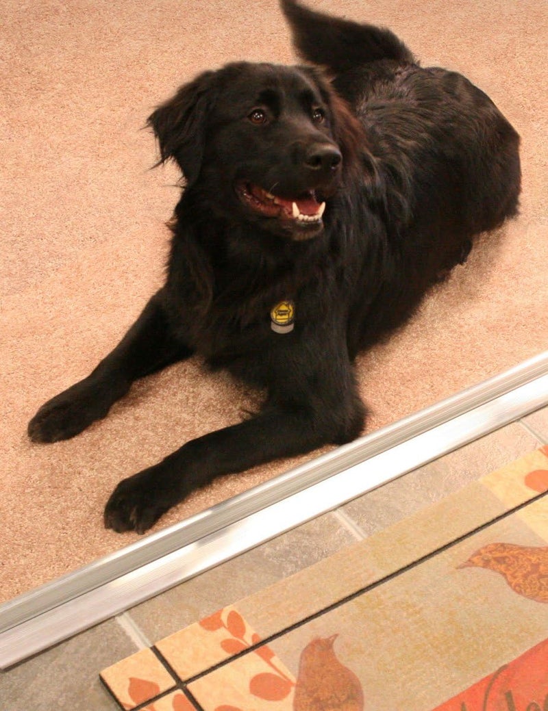 M-D Building Products Aluminum Door Threshold with Vinyl Seal - 3-3/8" W x 36" L x 3/4" H - Image 2