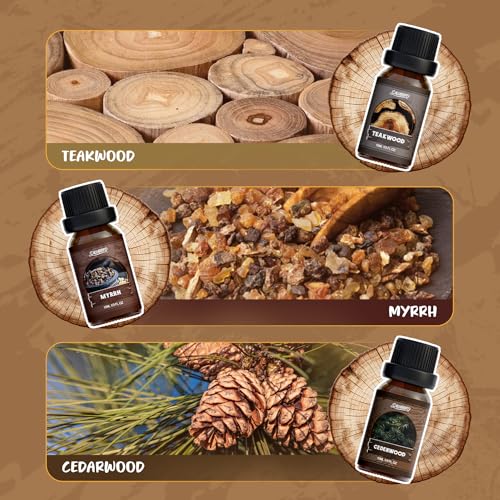 SALUBRITO Woody Fragrance Oils Set, Wood Essential Oil Set for Diffuse, Forest Pine, Sandalwood, Leather, Teakwood, Myrrh, Cedarwood Scented Oil for Candle, Soap Making - Image 4