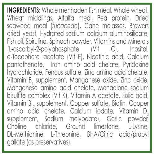 API ALGAE EATER WAFERS Algae Wafer Fish Food 3.7-Ounce Container - Image 3