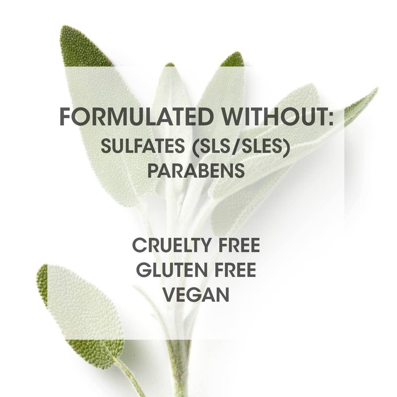 Seven ozVEN Hair Care Gazar Hydrate Conditioner for Women & Men, Anti-Frizz, Moisturize Dry Hair, Sulfate + Paraben Free, Cruelty Free with Argan Oil, Jojoba & Biotin, Made in USA, 2oz - Image 4