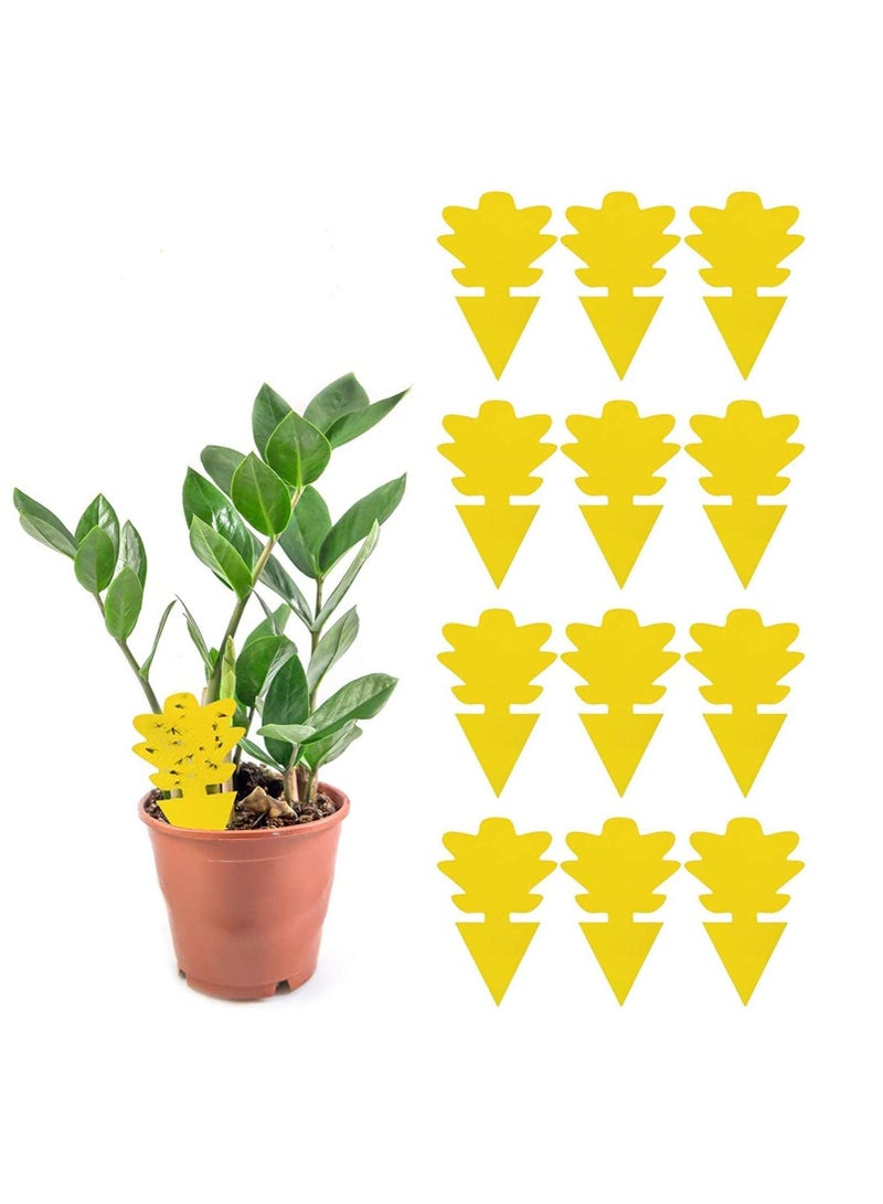 Excefore Sticky Gnat Trap, Fruit Fly and Fungus Gnat Trap Killer Indoor and Outdoor, Protect The Plant, Non-Toxic and Odorless, Gnat Trap Houseplant Flying Insect Catcher, Tree Shape, 12 Pack  - Image 1
