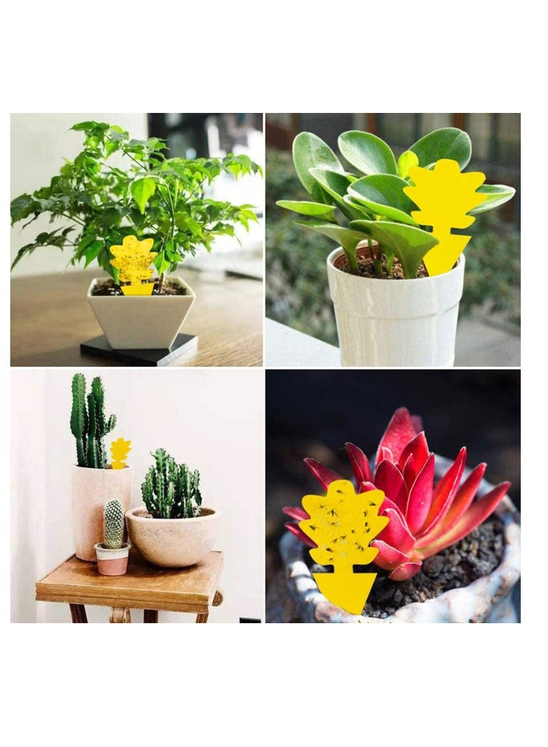 Excefore Sticky Gnat Trap, Fruit Fly and Fungus Gnat Trap Killer Indoor and Outdoor, Protect The Plant, Non-Toxic and Odorless, Gnat Trap Houseplant Flying Insect Catcher, Tree Shape, 12 Pack  - Image 5
