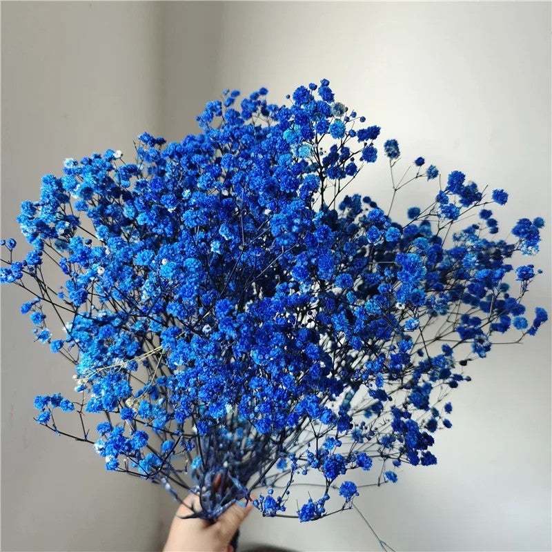 Bluejw Preserved Baby's Breath Flower – 1 Bundle (100-120g) of Natural Dried Plants for Wedding Bouquets, Handicraft Arrangements & Home Decor - Image 1