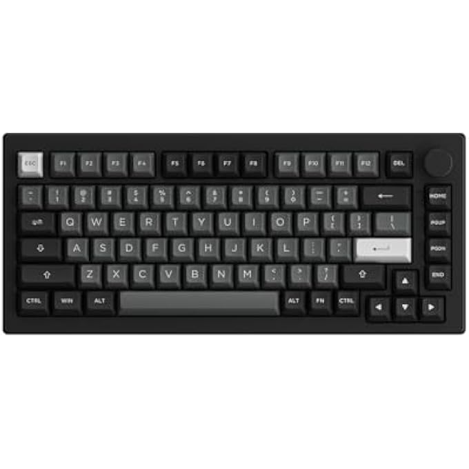 rayihni 5075B PLUS 75% RGB MECHANICAL KEYBOARD WITH HOT SWAPPABLE ...